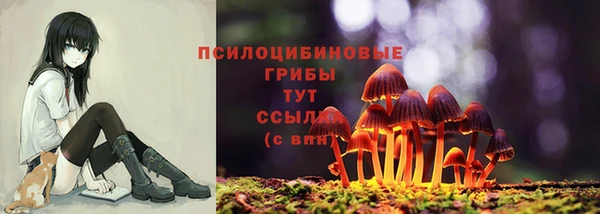 скорость Костерёво