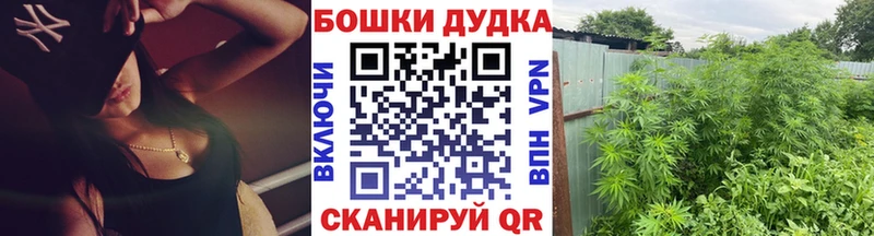 Бошки марихуана конопля  Купить где  Красноармейск 